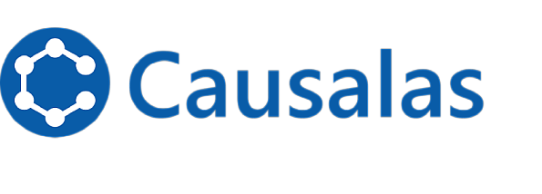 caus_img00.png